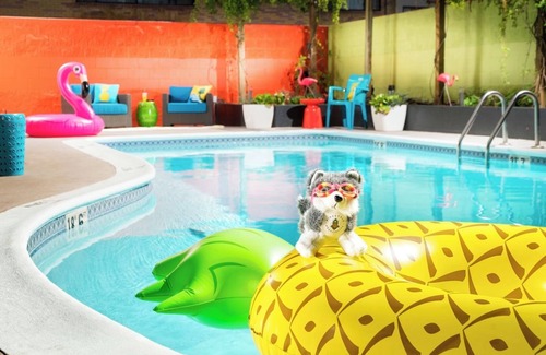 University District Hotel | Pineapple Queen Sanctuary w/Shower, Near UW Campus, 2 Family Ready Rooms