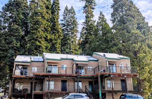 Pinecrest Condo | Pinecrestarearentals #12 Leland Snowplay Book 2 nights get 3rd free 1/24-2/9