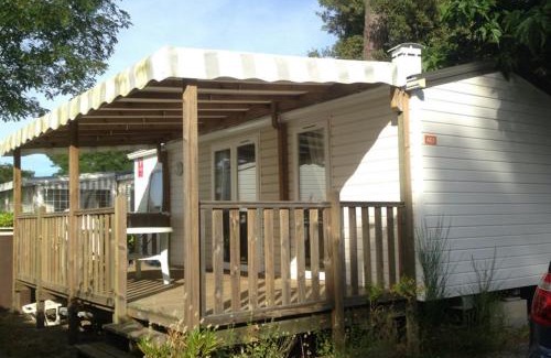 Ronce-les-Bains Other | Plaisirs Nature à La Pignade