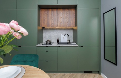 Katowice Apartment | Plant&Pillow Apartments Świętego Stanisława Katowice