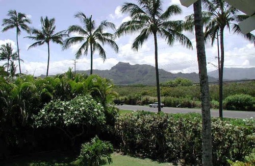 Kapaa Condo | Plantation Hale G-11 - Soak up the Sunshine in Paradise!