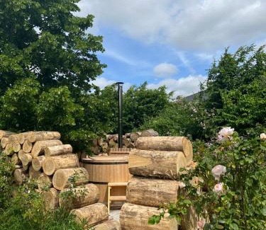 Poelkapelle Apartment | Plantkot, a cozy apartment full of plants of tinykot