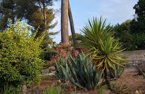 Bouc-Bel-Air House | Pleasant air-conditioned house with swimming pool close to Aix-en-Provence