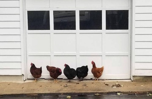 Darnestown House | Pleasant Cozy Airstream with Amazing Stargaze and Farm Views in Maryland