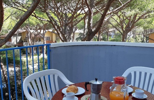 Principina a Mare Apartment | Pleasant flat in a pine forest near the sea