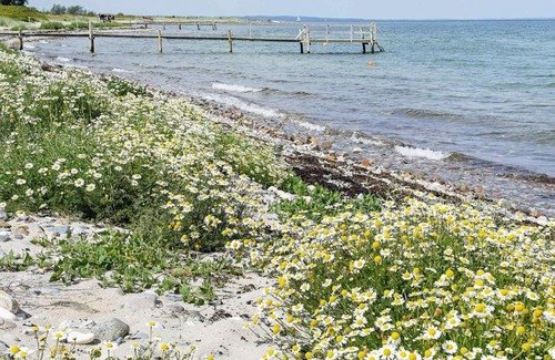 Hov House | Pleasing Holiday Home in Syddanmark near Sea