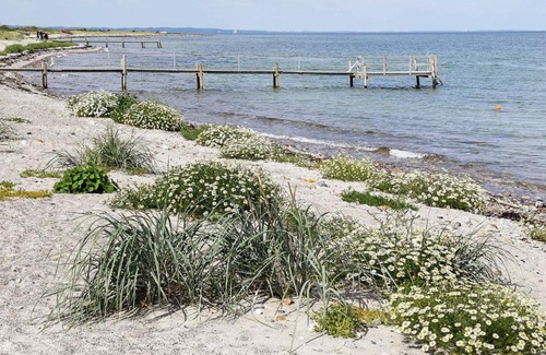 Hov House | Pleasing Holiday Home in Syddanmark near Sea