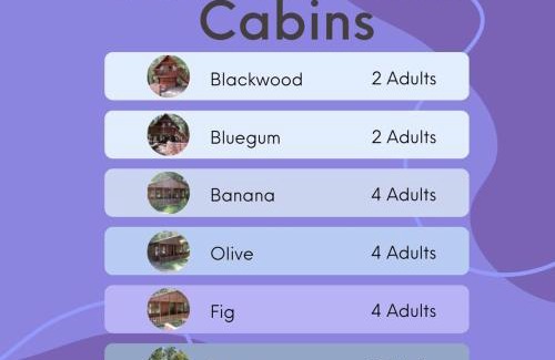 Buffalo Hills Game Reserve Hotel | Plett Forest Cabins