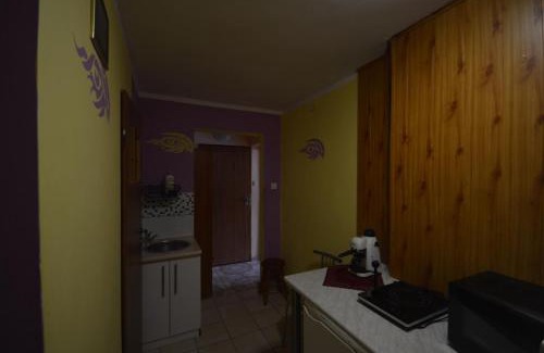 Duszniki Zdroj Apartment | Pod Modrzewiem Mieszkania wakacyjne
