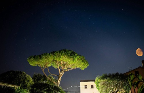 Castagneto Carducci House | Podere 'I Daini' - App. C