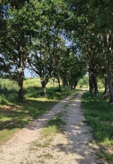 Sorano House | Podere Le Querce