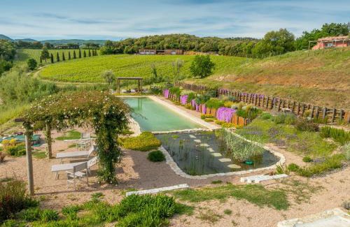 Riparbella Apartment | Podere Terraviva - apt Ginestra