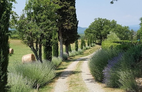 Borgo San Lorenzo Villa | Poggiolo Oasis of relaxation swimming pool nature lavender horses wine - Tuscany
