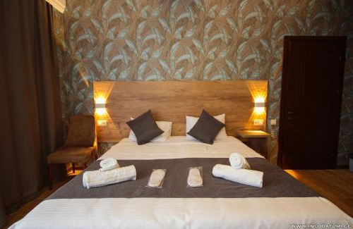 Khelvachauri Hotel | Pollux