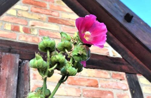 Warsin House | Pommernhof am Stettiner Haff