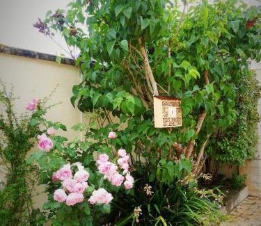 La Grace de Dieu Est Bed & Breakfast | Pony Sweet Home