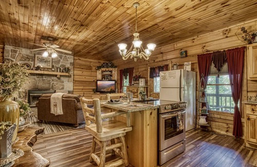 Sevierville Apartment | Pooh Bear, Hot Tub, WIFI, $685 FREE tickets each paid day!