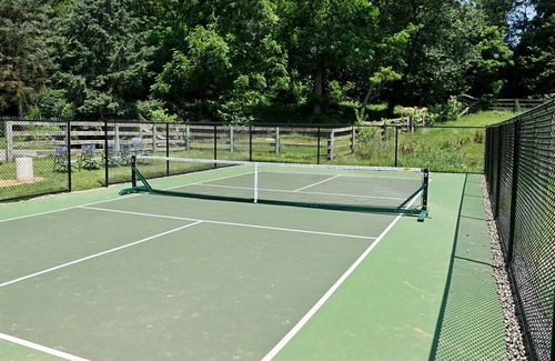 Mount Joy House | Pool HotTub Pickleball Golf Arcade Firepit Fishing