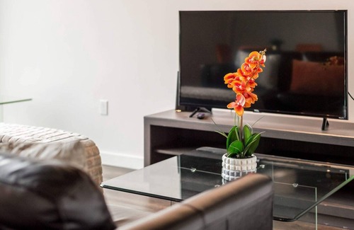 Washington Apartment | PoplarHouse Premier Studio 1