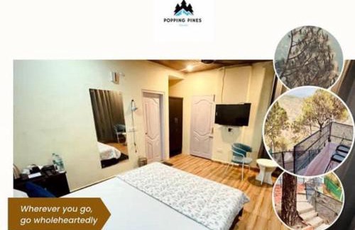 Kasauli Hotel | Popping Pines Resort