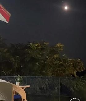 Kasauli Hotel | Popping Pines Resort