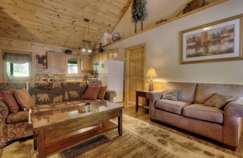 Pigeon Forge House | Porch w/swing & hot tub, sounds of stream, fireplace, pet & family friendly!