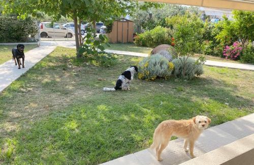 Thasos Town House | Port Rooms Pet Friendly