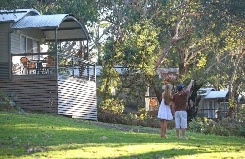 One Mile Resort | Port Stephens Koala Sanctuary