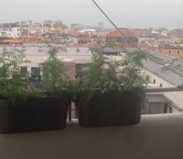 Porta Romana Apartment | Porta romana suite- New cozy Private apartament with 2 bedrooms & 2 bathrooms fully equipped kitchen - Nuovissima Suite completamente arredata 2 camere 2 bagni soggiorno cucina e balcone Metro lsubway Porta romana 3 stops to Duomo Cathedral