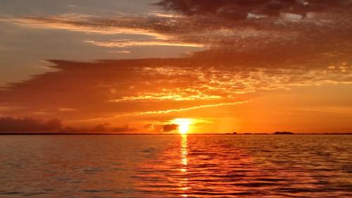 Pensacola Beach Apartment | Portofino Tower1-908 Beachfront Sunrise Views