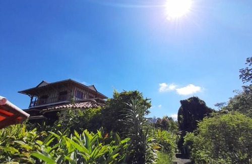 Filandia House | Posada de Lion