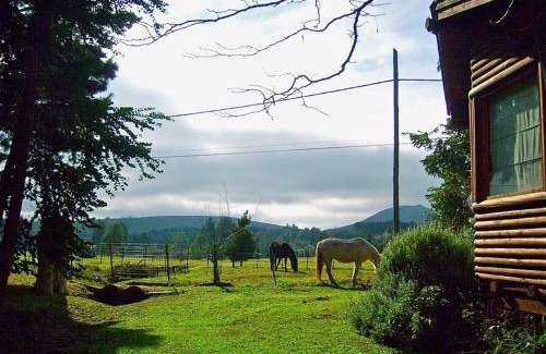 Tandil Cabin | Posada del Viento