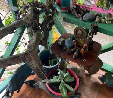 Nuqui House | Posada milagro de Dios