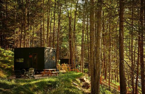 McCall Creek Other | Postcard Cabins Homochitto