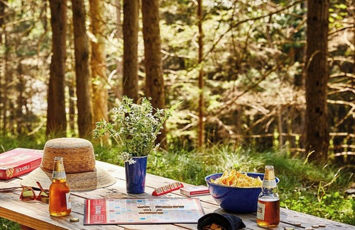 Pine River Cabin | Postcard Cabins Wild Rose
