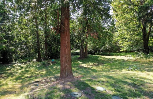 Issaquah Apartment | POWER ON - The Forest Rooms - A Peaceful Oasis close to everything