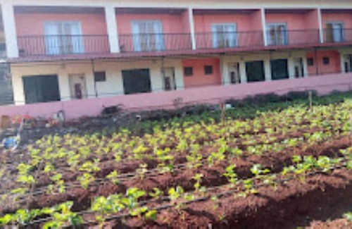 Mahabaleshwar Hotel | Prashant Cottages Mahabaleshwar