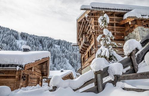 Wagrain Ski Chalet | Prechtlgut