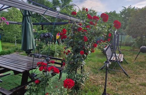 Tirgu Ocna House | Premier House