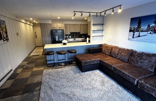 Snowmass Village Condo | Premier Ski-In, Ski-Out at Base of Snowmass Village. Pet Friendly!
