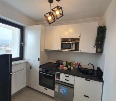 Sector 3 Apartment | Premium Hils Brauner Studio