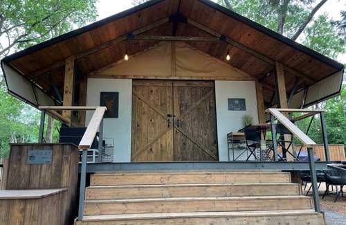 Bastrop Cabin | Premium Lakefront Cabin #1: The Armadillo (Austin)
