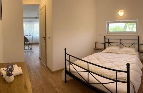 Ghimbav House | PREMONT STUDIOS GHIMBAV