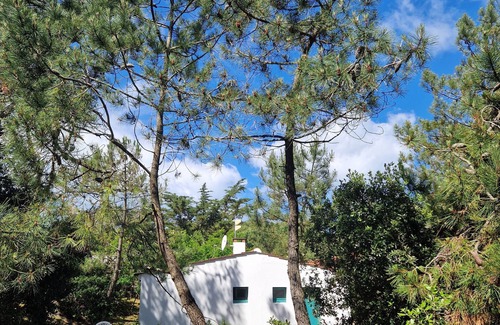 La Tranche-sur-Mer House | Pretty house under the pines 100m from the beach
