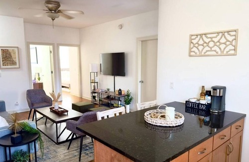 Hyde Park Apartment | Prime Location! 3BRGem near University of Chicago