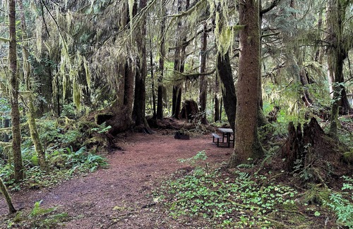 Forks RV Rental | Primitive Tent Site #3- Beautiful Forested Property