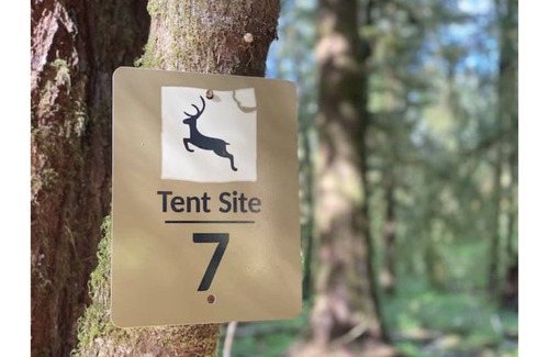Forks RV Rental | Primitive Tent Site #7- Beautiful Forested Property