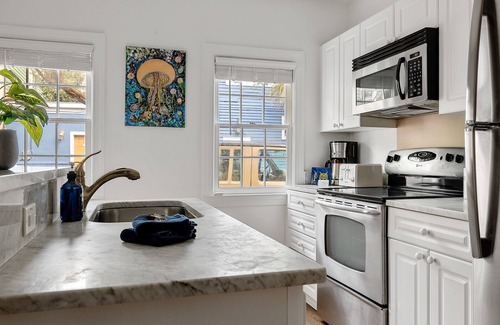 Downtown Charleston House | Primrose Home: Tradition with a Modern Twist