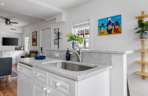 Downtown Charleston House | Primrose Home: Tradition with a Modern Twist