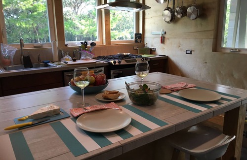 Inlet Beach House | Pristine couple's cottage. Short walk to public beach. Non-shedding dog welcome.